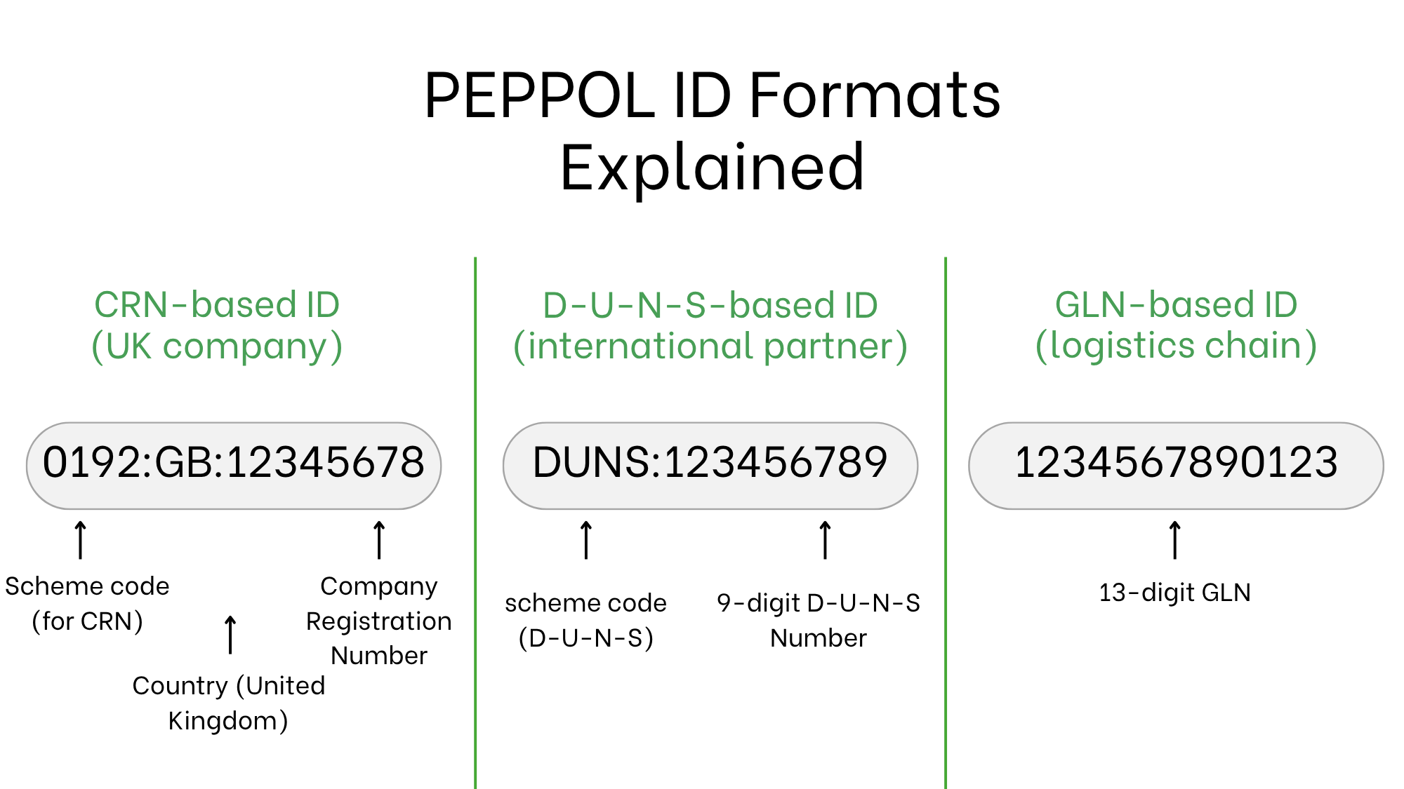 Leitfaden zum Erhalt einer PEPPOL-ID für britische Unternehmen ohne Umsatzsteuer-ID zum Versenden elektronischer Rechnungen Foto 1
